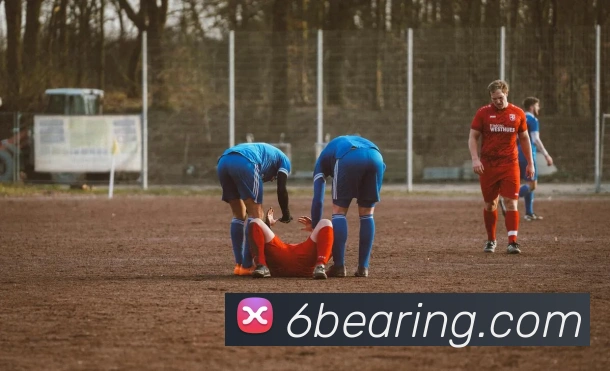 多媒体互动体验